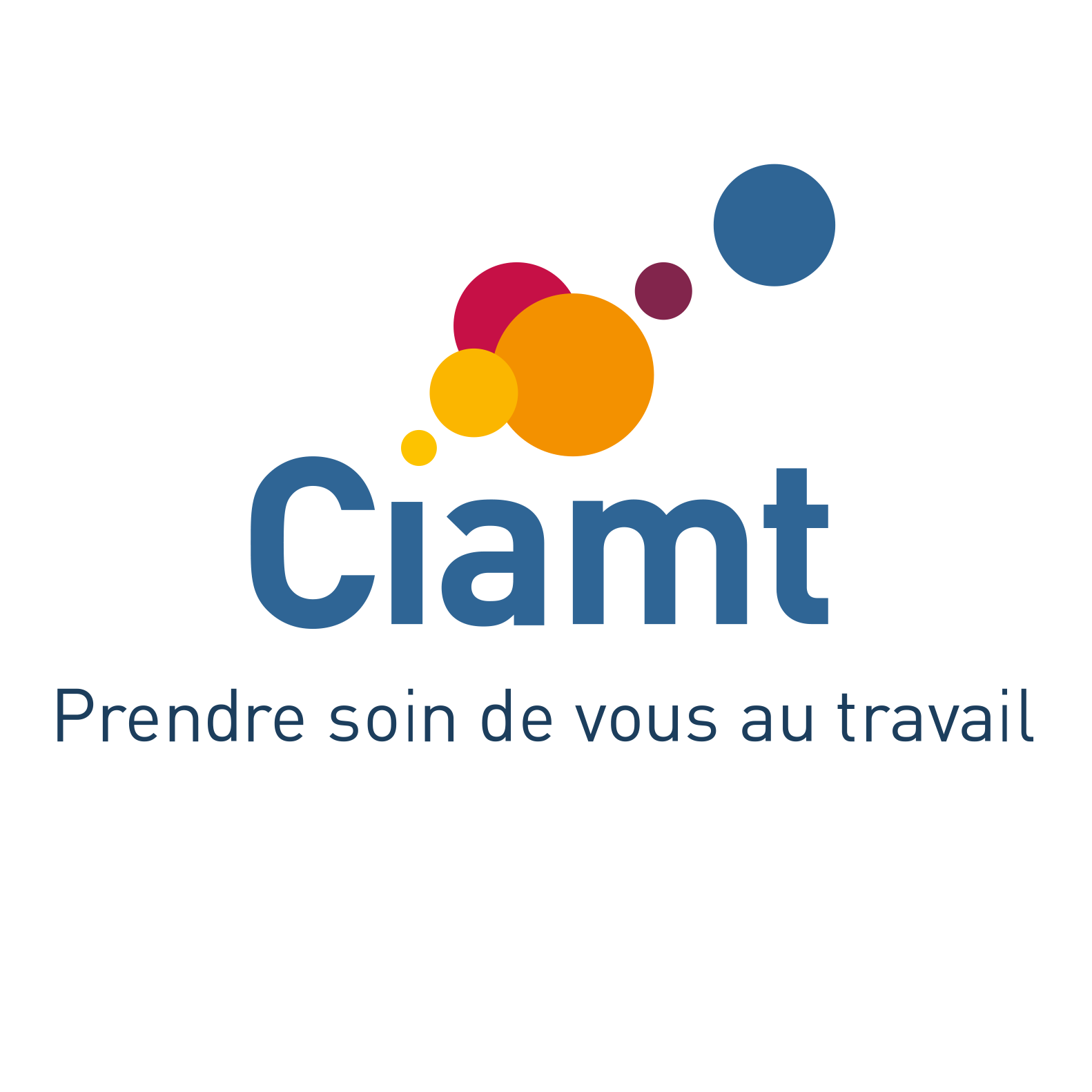 CIAMT 3-1