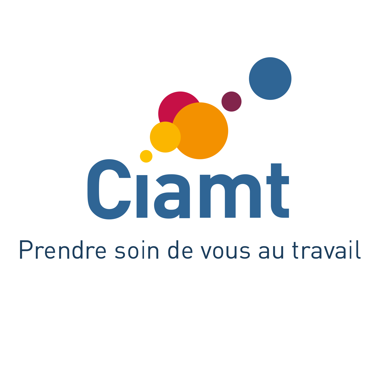 CIAMT 3